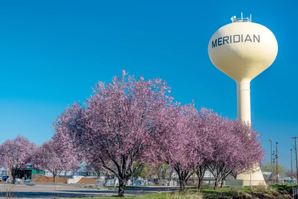 Treasure Valley